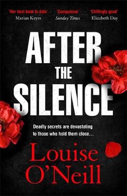 After the Silence: The An Post Irish Crime Novel of the Year