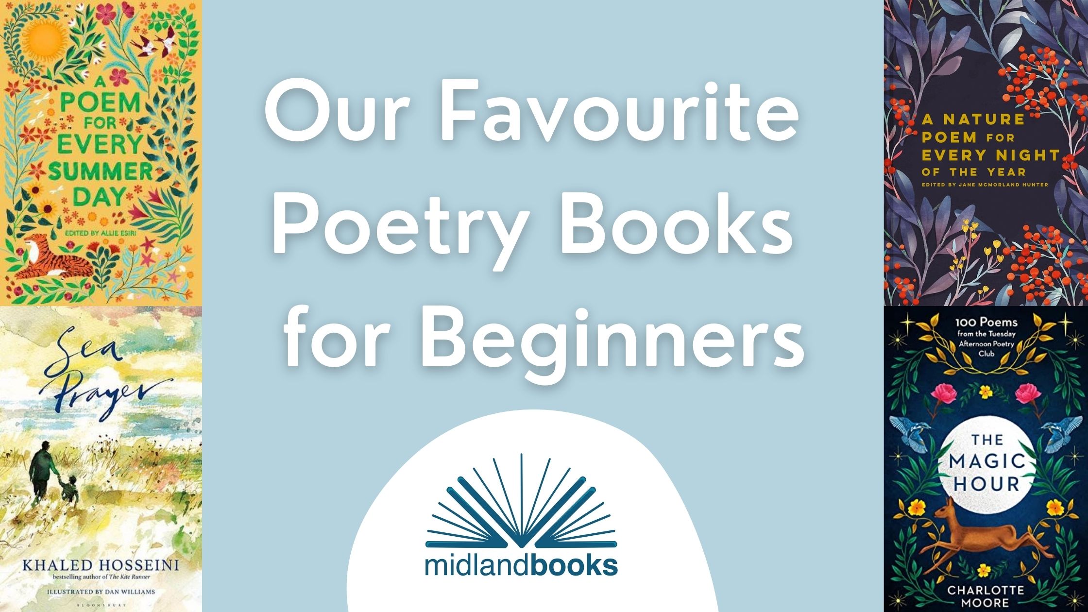 Our Favourite Poetry Books For Beginners - Midlandbooks